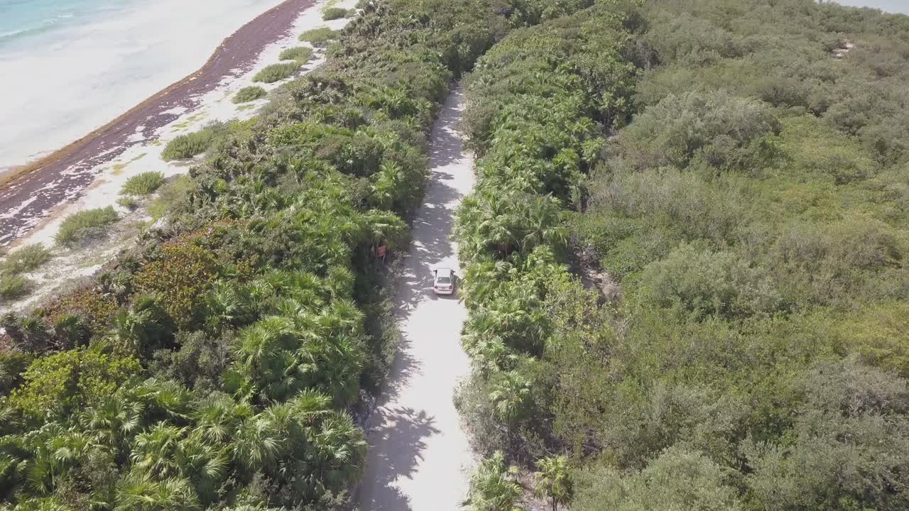 바다로 정글 길을 운전하는 자동차