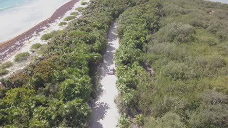 Car-driving-a-jungle-road-by-the-sea