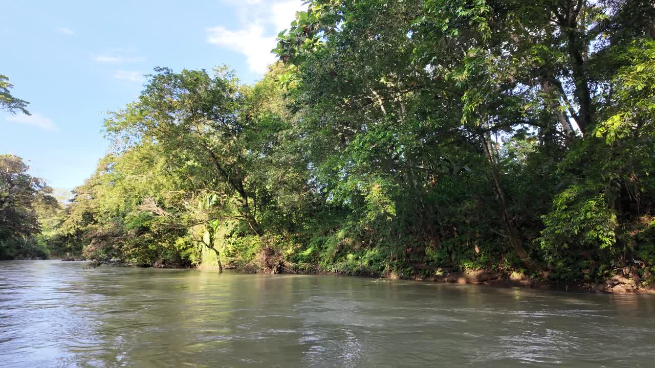 galleggiando lungo un fiume in una foresta costaricana