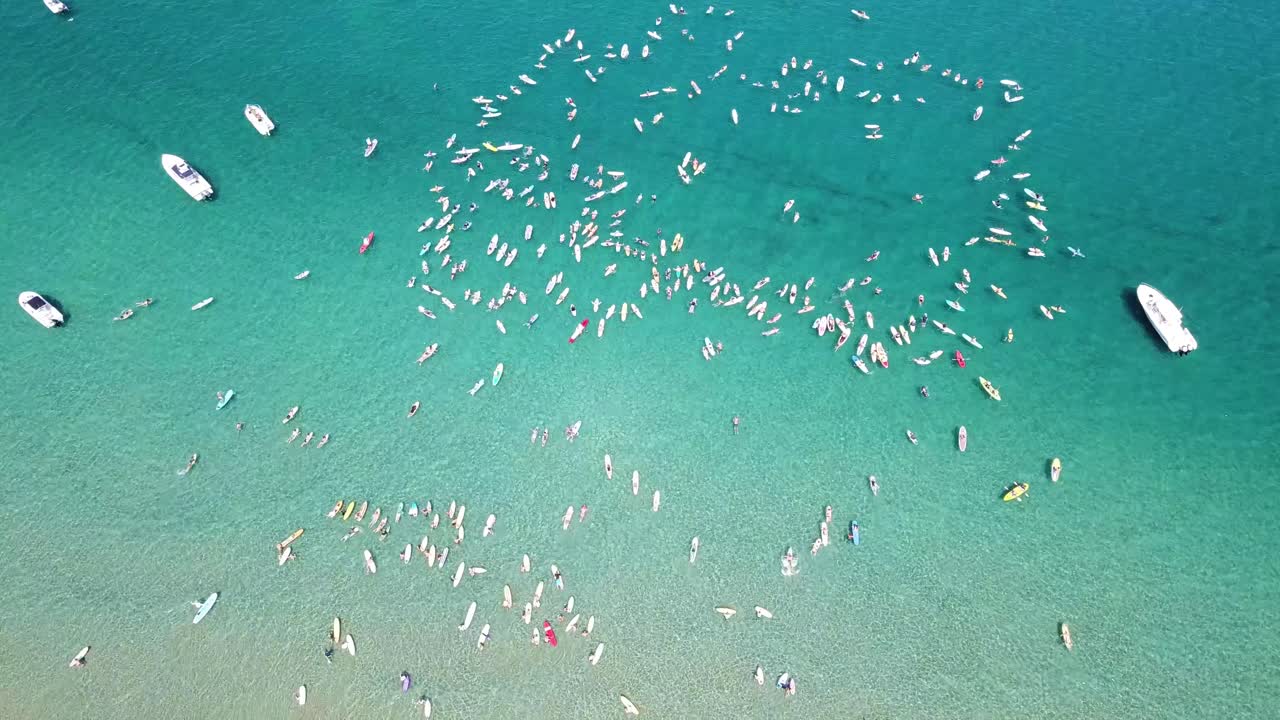 Beautiful clear water beach fly over of a large group  of paddle boarders paddling out.