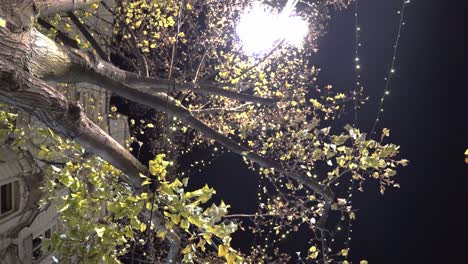 ramas de árboles con cadenas ligeras debajo de la lámpara de la calle por la noche, praga