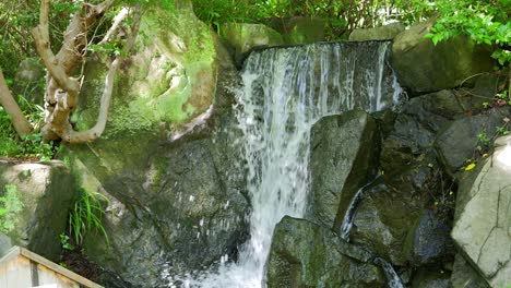 cascading waterfall amidst lush greenery