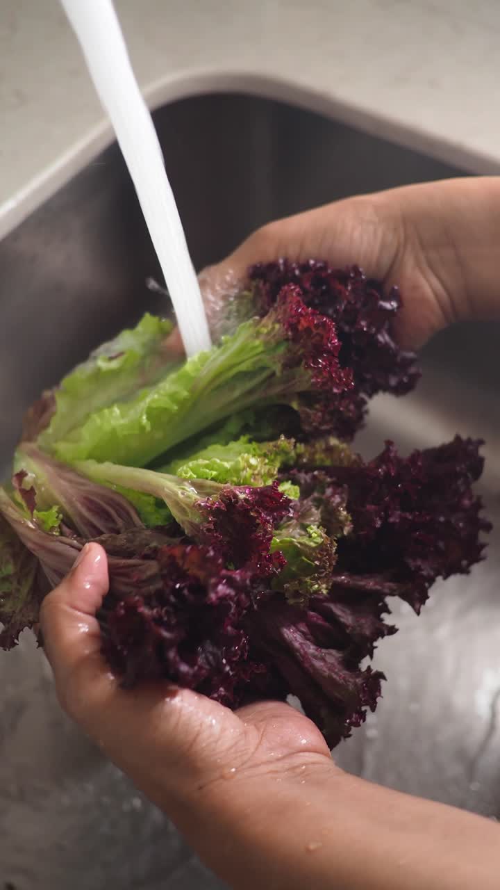 Hands Washing Fresh Red Leaf Lettuce Under Running Water