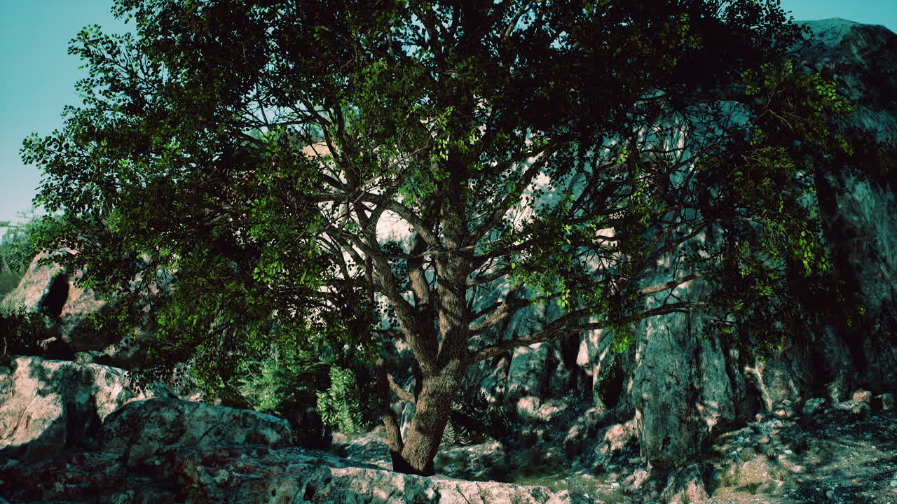 나무 가 있는 해변 에 있는 아름다운 산 바다 절벽