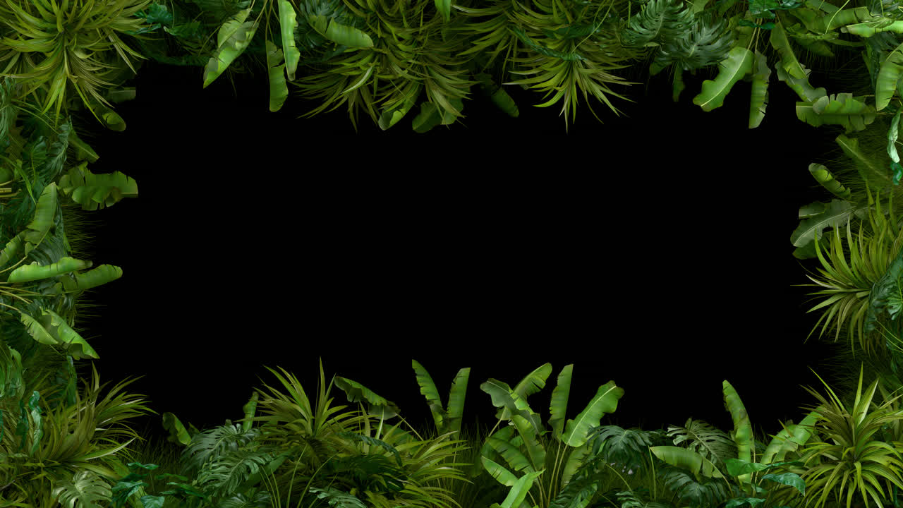 Tropical Plant Frame Loop - Green Leaves Swaying Animation with Transparent Alpha Channel. 3D rendering