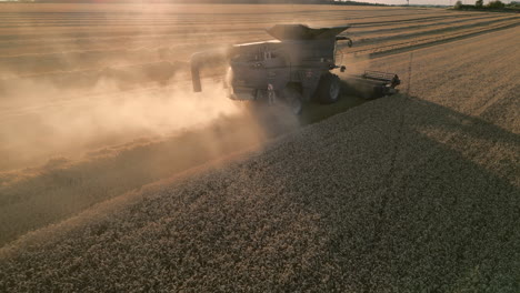 back of combine harvester harvesting at golden hour sunset with orange dust uk