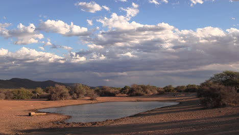 un pequeño y raro pozo de agua en el árido y seco paisaje del arbusto de kalahari