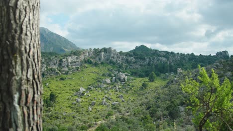 mallorca's vibrant green mountains, a captivating scene of lush slopes and rolling hills