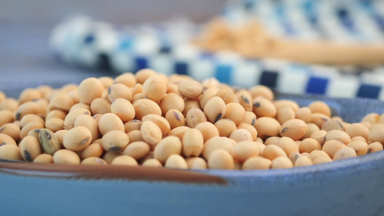 Soybeans in a Bowl