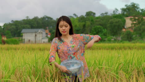 un jeune agriculteur asiatique semant des graines dans la vallée de la plantation de riz