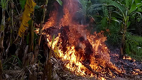 environmental disasters, ground fire ignition, bushfire emergencies
