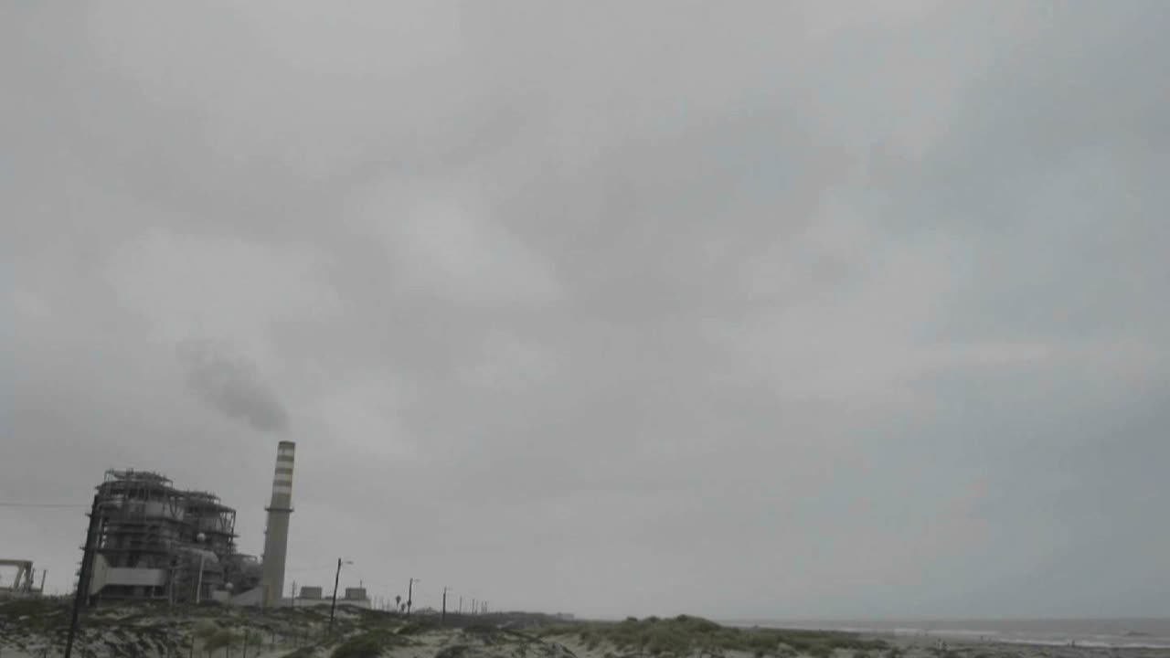 식물 위에 어두운 구름의 시간 경과