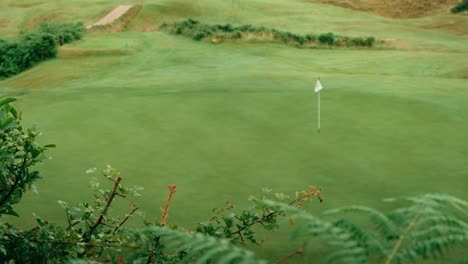 el follaje verde brillante en primer plano se centra en poner el verde de irlanda enlaces campo de golf con la bandera soplando en la brisa en cámara lenta