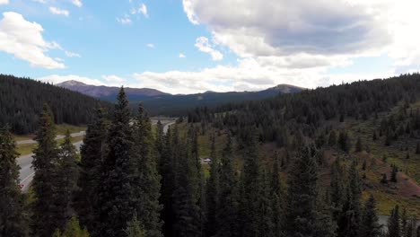 Rocky-mountain-grove-of-trees-near-highway-during-summer