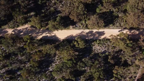 Vista-Aérea-Descendente-Sobre-Un-Ciclista-Que-Recorre-Un-Sendero-Entre-árboles