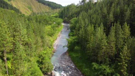 Tiro-Inclinado-Hacia-Arriba-Del-Dron-De-Un-Río-En-Medio-De-Un-Bosque