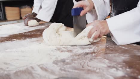 diversos panaderos trabajando en la cocina de la panadería, amasando la masa en el mostrador en cámara lenta