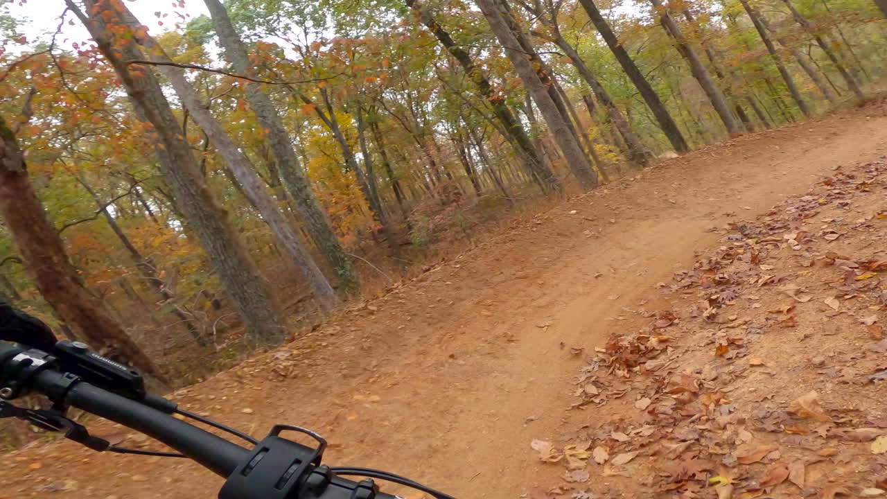 sendero para bicicletas de montaña en el bosque de descenso