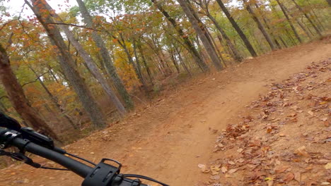 Sendero-Para-Bicicletas-De-Montaña-Cuesta-Abajo-En-El-Bosque