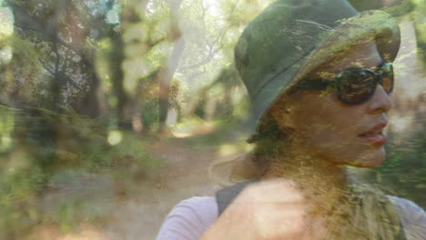 hiker walking on a forest trail