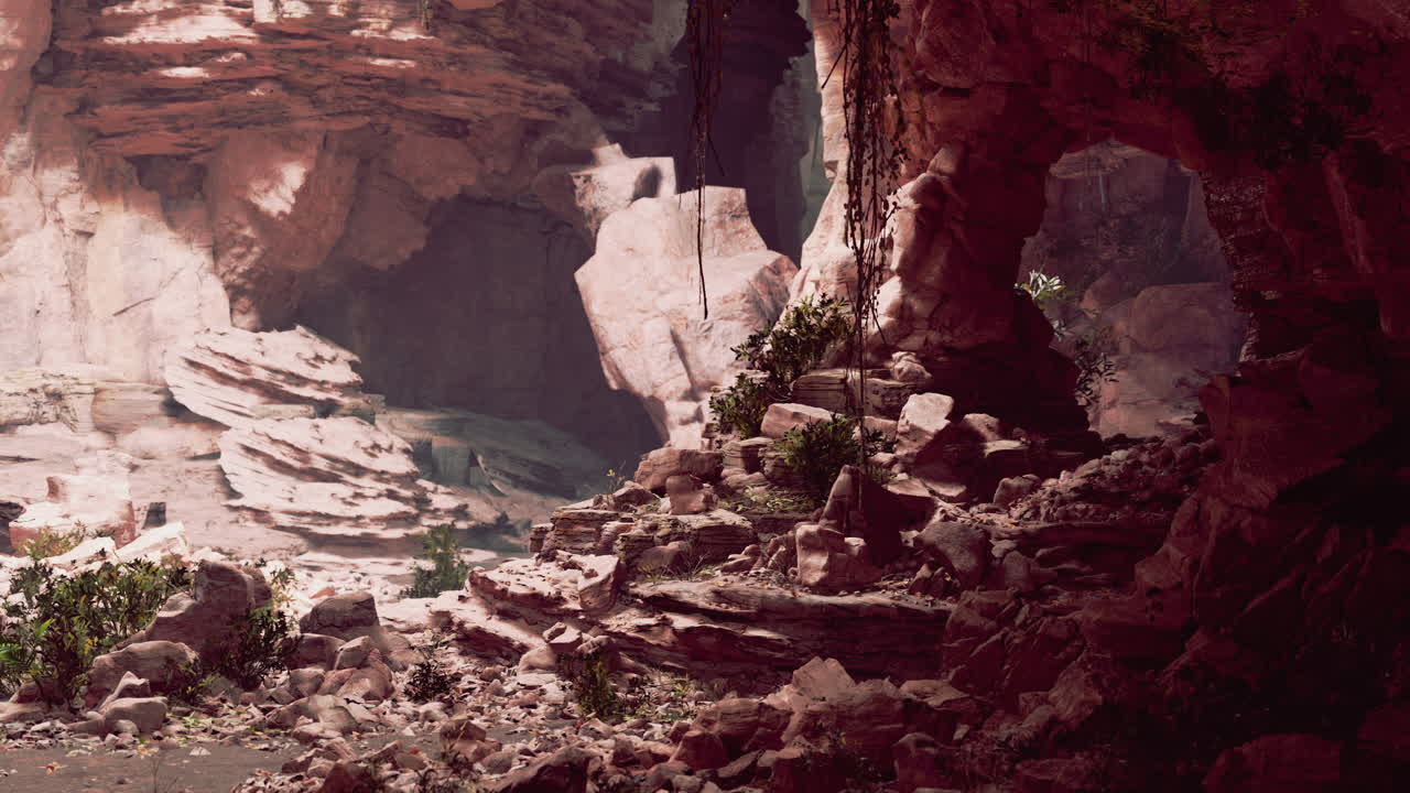 vista desde el interior de una cueva oscura