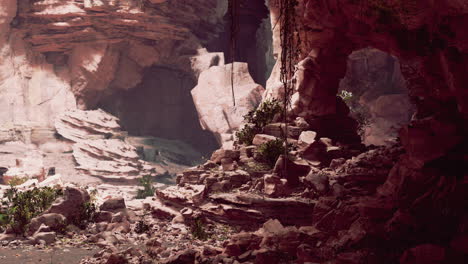 view from inside a dark cave