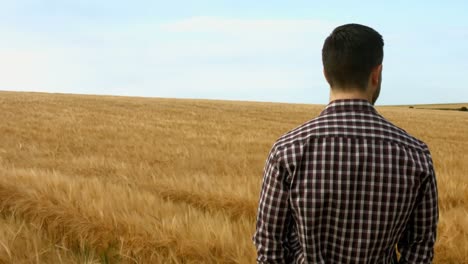 Farmer-checking-his-crops