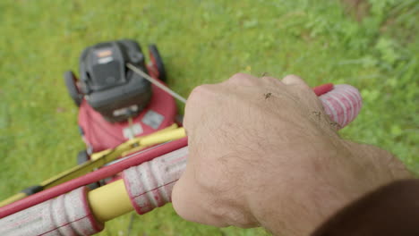 mosquitoes landing on exposed caucasian hand pushing lawnmower, itchy skin