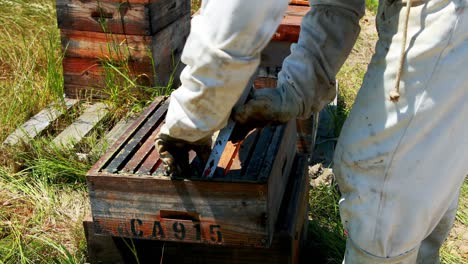 los apicultores fuman a las abejas lejos de la colmena