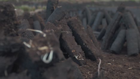 Stacked-peat-turf-drying-in-bog-in-Ireland