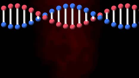 animación de una cadena de adn girando sobre un fondo negro y rojo