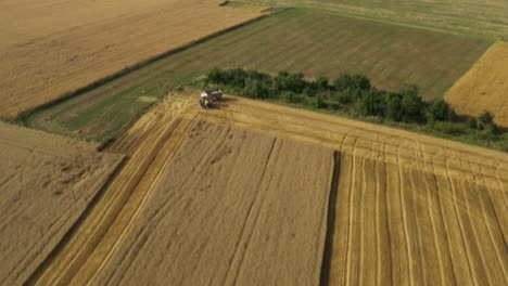 Aerial view of combine harvesting golden wheat field