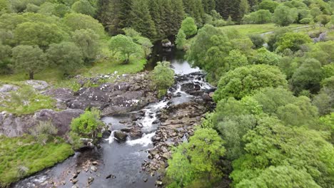 an aerial footage following black river stream that meanders through green forest