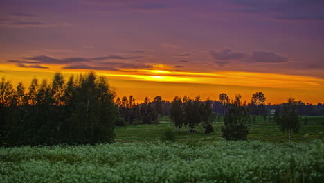 Toma-Estática-De-La-Puesta-De-Sol-En-Un-Lapso-De-Tiempo-A-Través-De-Las-Nubes-Con-La-Vista-De-Flores-Silvestres-En-Plena-Floración-Sobre-Praderas-Verdes