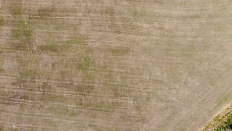 Monte-Picato-Aerial,-Agroforestry-Landscape,-Lugo,-Galicia,-Spain-4k-DJI-Mini-2,-Orthogonal-view-of-yellow-fields-into-green-bushes