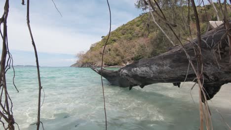 lavado de follaje seco y madera flotante podrida balanceándose con la marea en koh hey, tailandia - empuje amplio a través de tiro de cardán