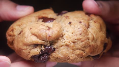 chocolate chip cookies