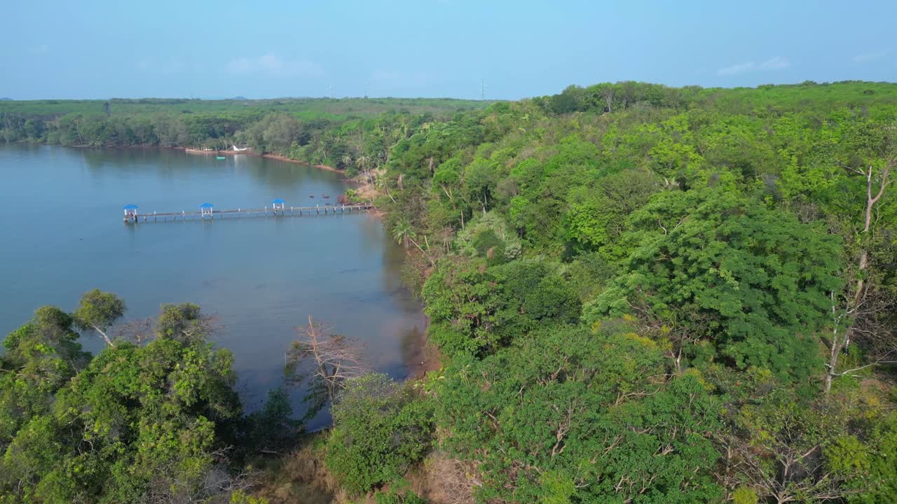 Lush vegetation covering tropical island coast meeting calm ocean water and small sandy beach. Nice aerial view flight overflight flyover drone