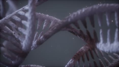 double helical structure of dna strand close-up animation