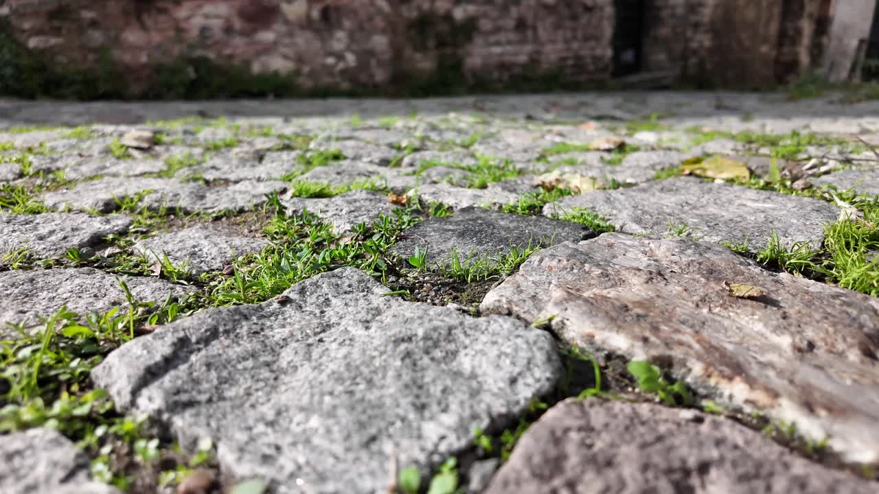 Cobblestone pavement with grass