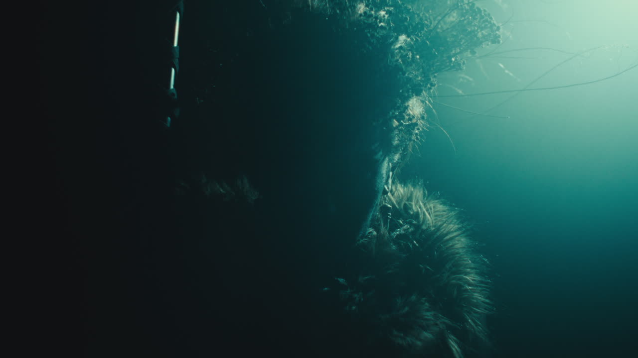 A creepy witch rises her head during the night storm