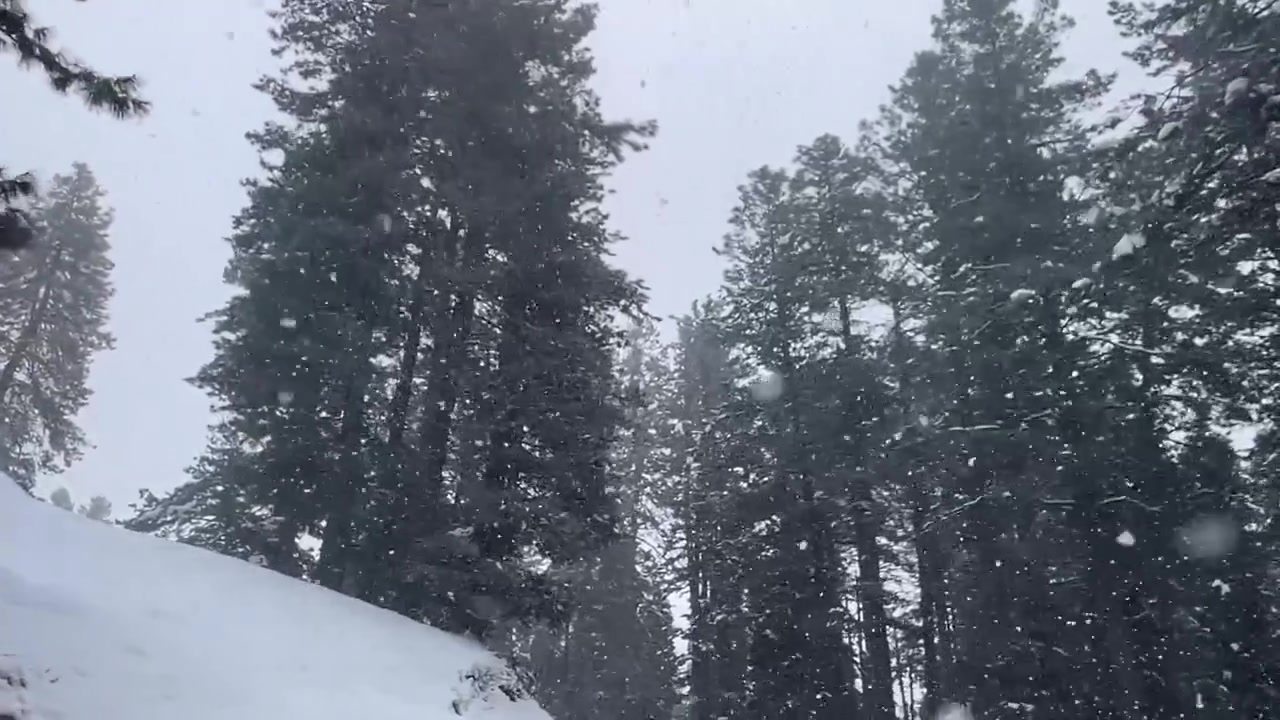 Neve che cade sulla montagna durante l'inverno a Gulmarg, Kashmir, India, ripresa dal basso, POV