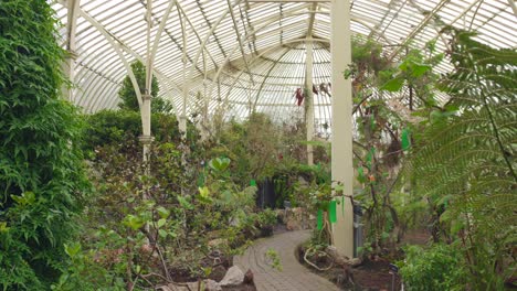 vista interior de las plantas y árboles de los jardines botánicos nacionales en glasnevin, irlanda