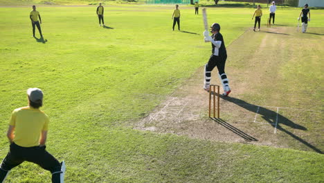 cricket players on field, batsman ready to hit, teammates positioned strategically