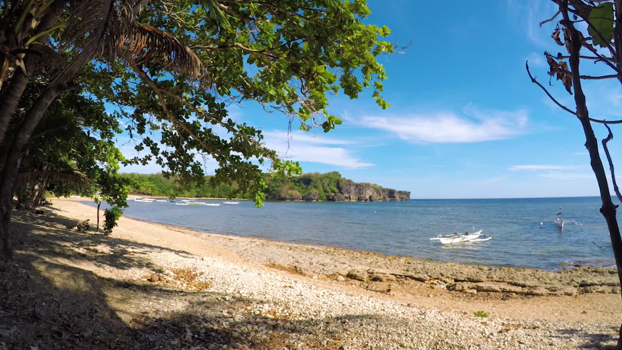 버진 아일랜드 해변 앞의 야자수와 식물을 촬영한 돌리