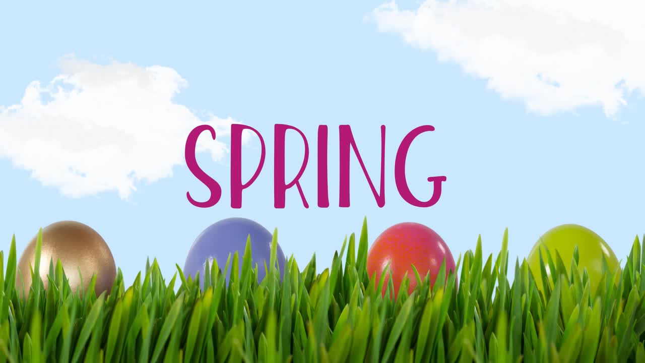 Animation of spring text and easter eggs over blue background