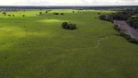 llanos orientales de colombia - llanos orientales 11