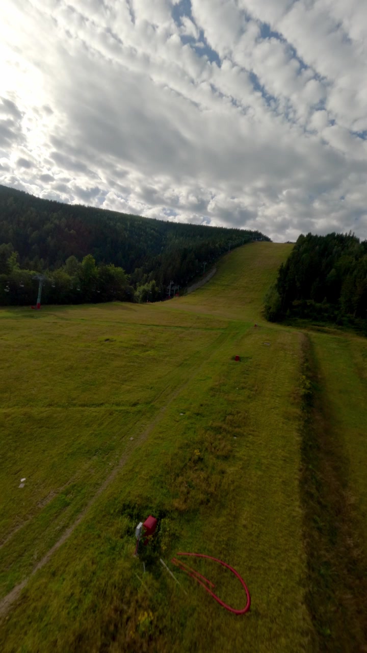 Ripresa dinamica verticale con drone FPV che vola sopra lussureggianti alberi sempreverdi e colline erbose nella Repubblica Ceca. Ottimo per storie sui social media e contenuti di viaggio.