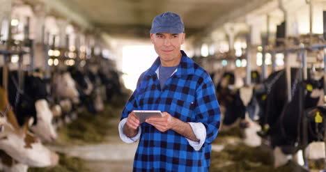 cow breeder checking on livestock and using digital tablet