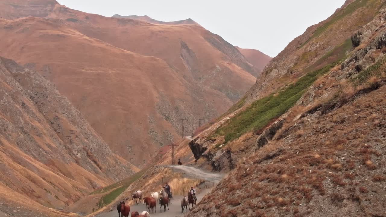 Cavalos em uma estrada de montanha na Geórgia, região do Cáucaso.